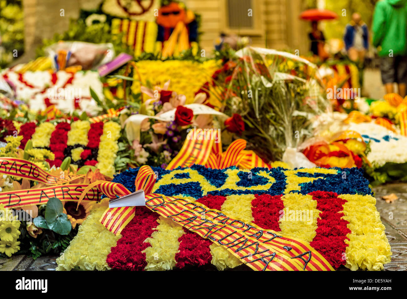 Barcelona, Spain. September 11th, 2013: A multitude of institutional, civil, cultural and sportive associations have offered flower arrangements to the Monument of Rafael Casanova, mayor of Barcelona and commander in chief of Catalonia during the Siege of Barcelona in 1714 © matthi/Alamy Live News Stock Photo