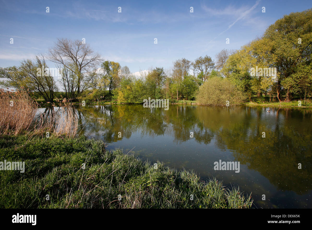 Hamm, Germany, Lippeaue Life Project Stock Photo