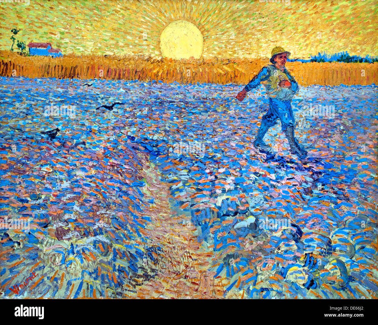 Vincent Van Gogh The Sower The Sower Van Gogh LVJYUZ