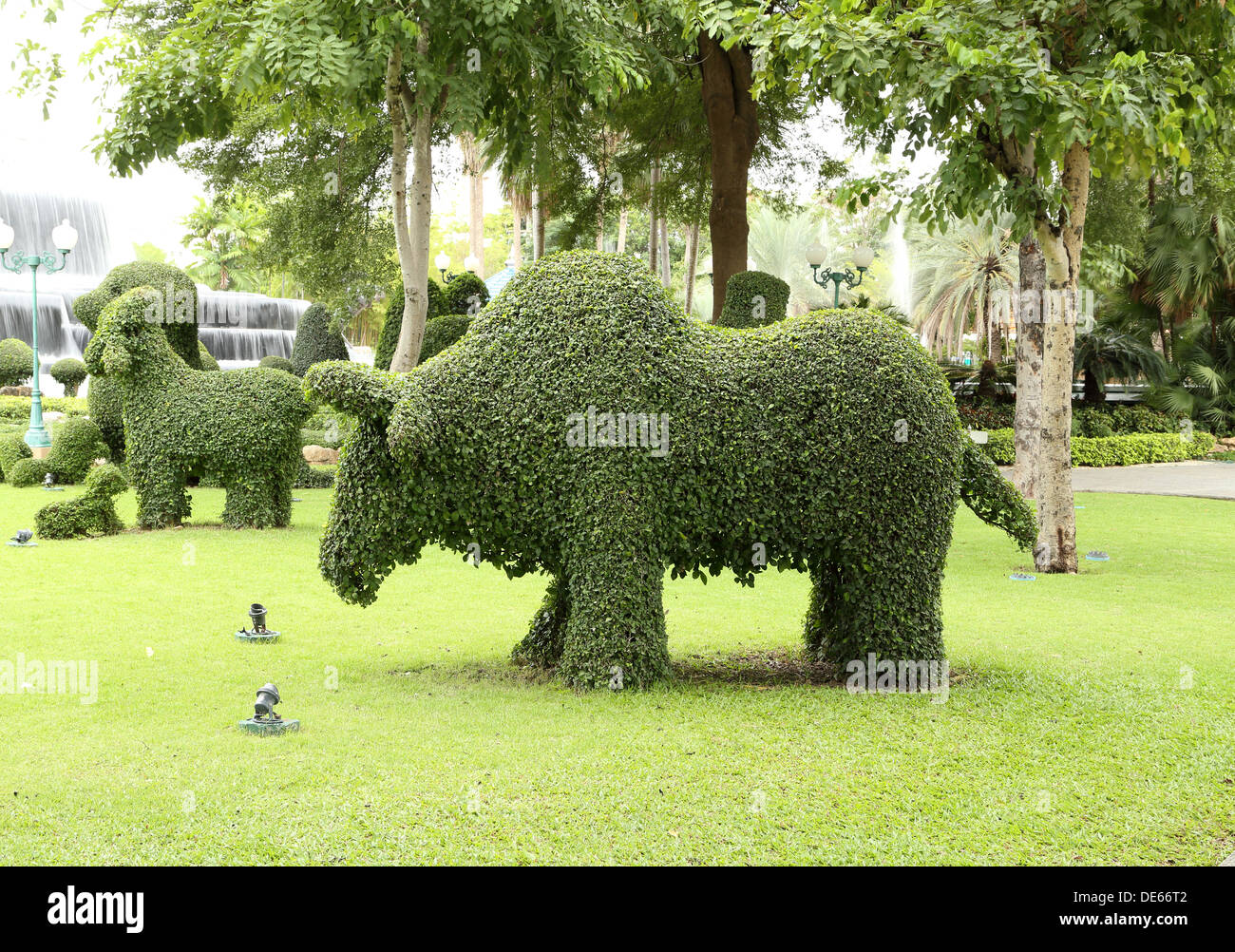 Tree park with nature hi-res stock photography and images - Alamy