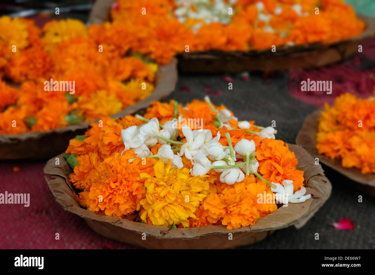 Hindu flower garland hires stock photography and images Alamy