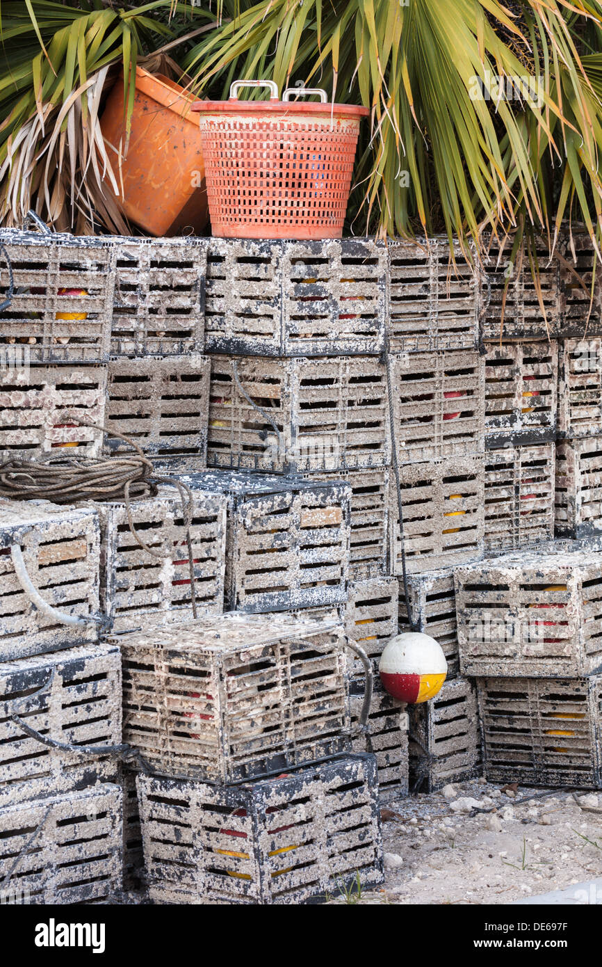 Plastic crab traps stacked in front of palm tree in Cedar Key, Florida Stock Photo