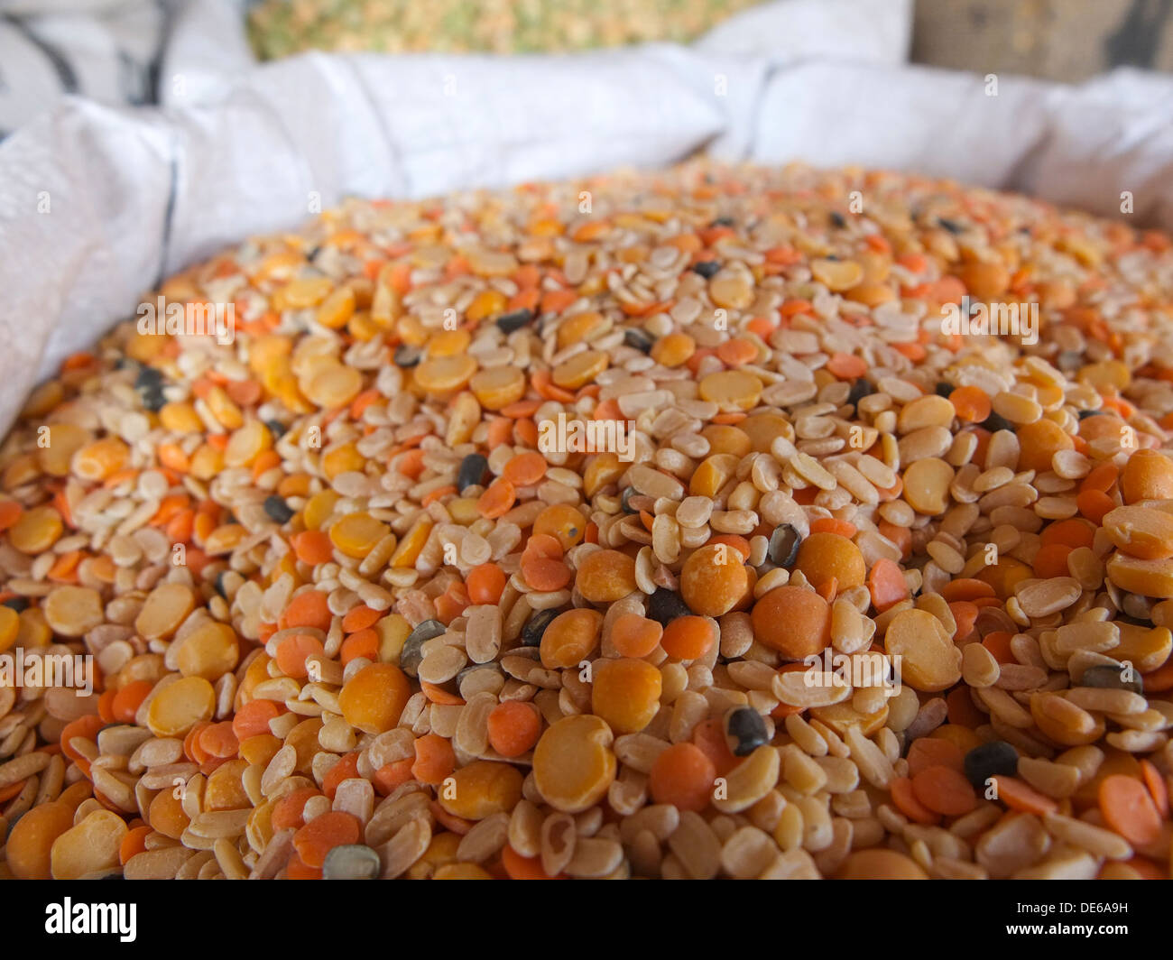 India, Rajasthan, Jaipur, split lentils Stock Photo