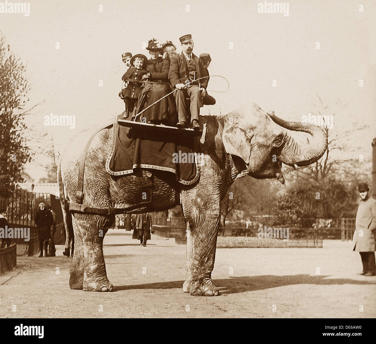 Victorian zoo hi-res stock photography and images - Alamy