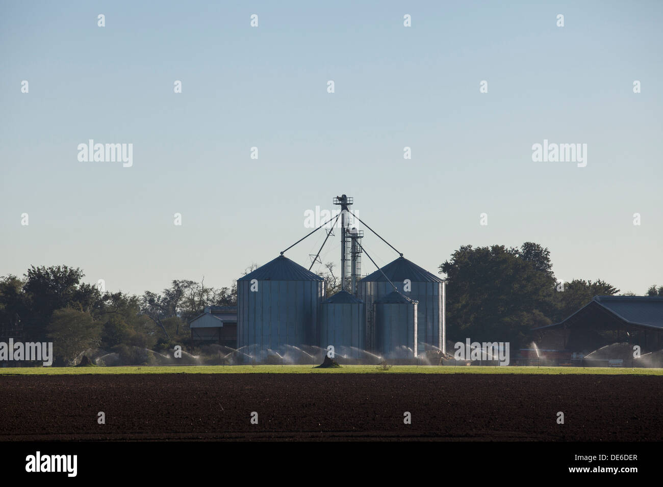 Grain silos and irrigated pasture in the Limpopo river valley Stock Photo