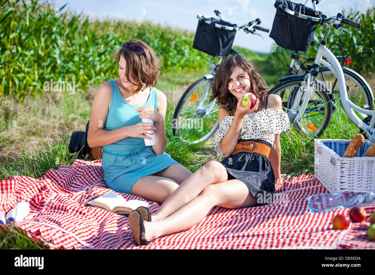 Picnic Pussy