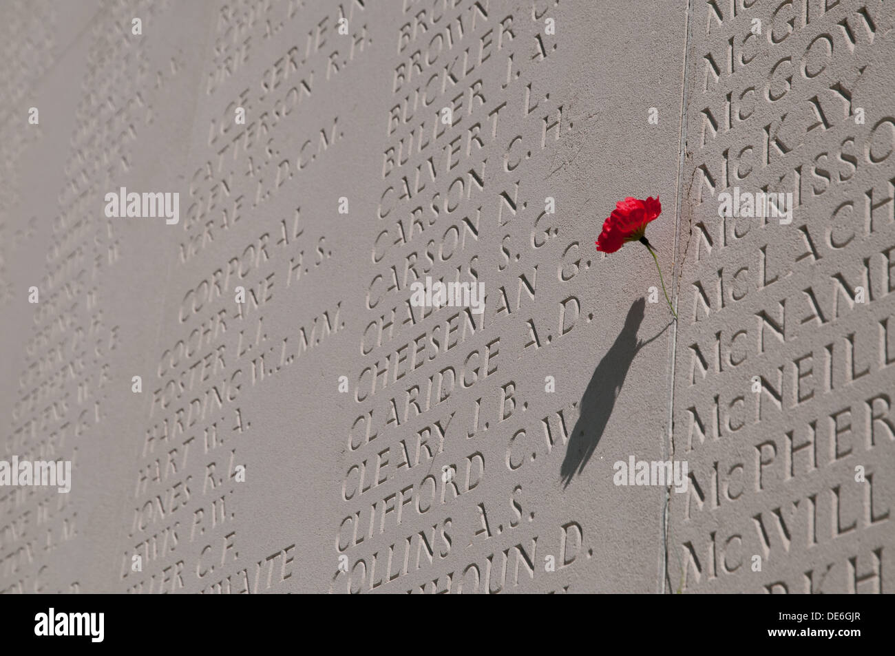 Poppy attached to name on wall engraved with names of the missing, Australian National War Memorial, Villers-Bretonneux, Somme Stock Photo
