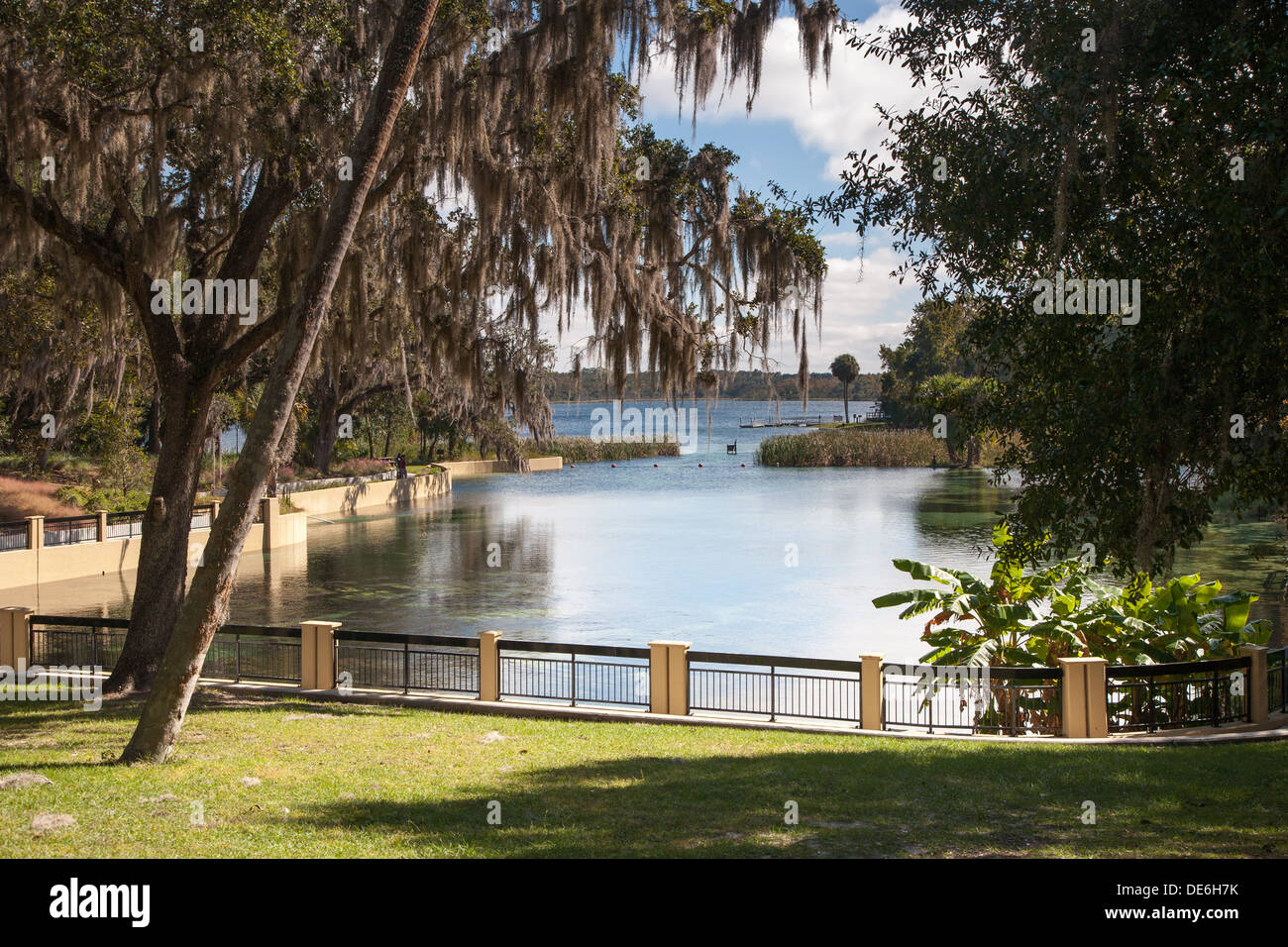 Swimming area at Salt Springs Recreation Area in Central Florida Stock Photo