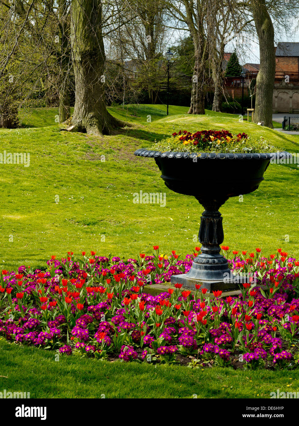 Spring flowers in Derby Arboretum in Derby City Centre England UK one of the first public parks in Britain and opened in 1840 Stock Photo