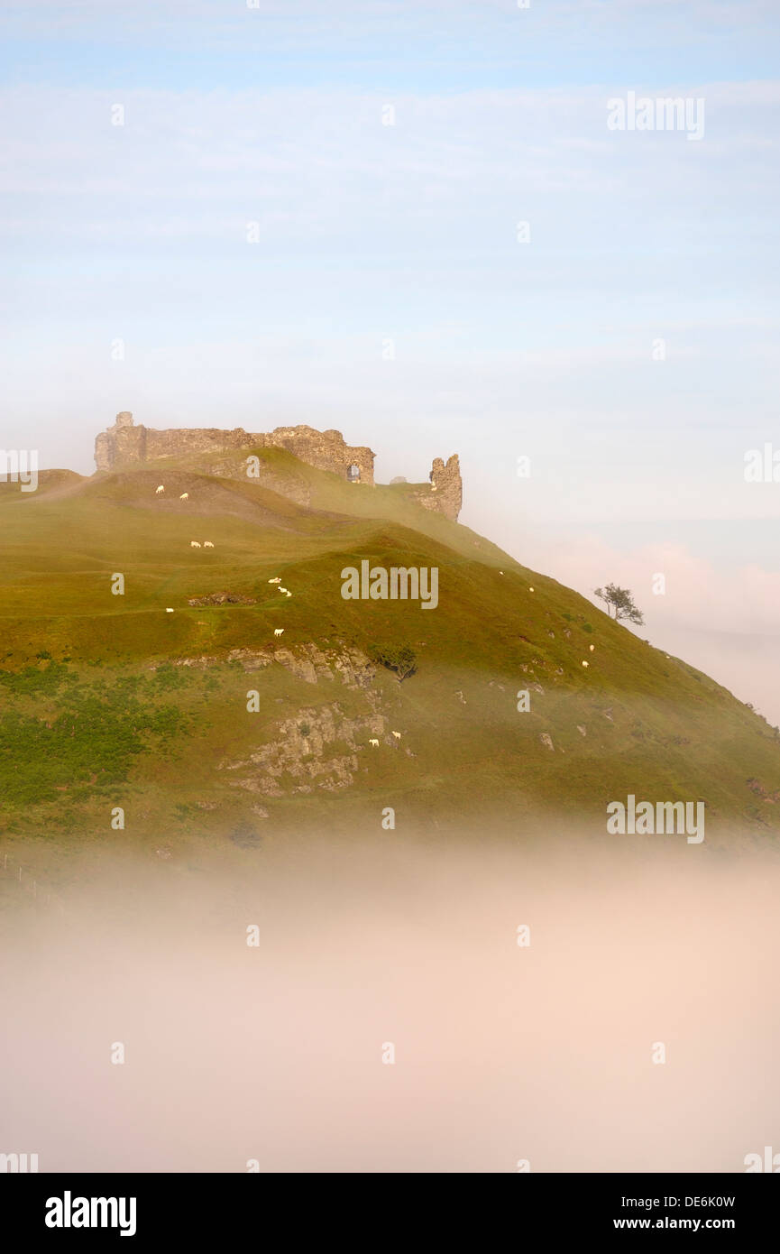 Castell Dinas Bran, Llangollen, Denbighshire, Wales. On an Iron Age site, the stone castle dates from 13 C. Summer morning mist Stock Photo