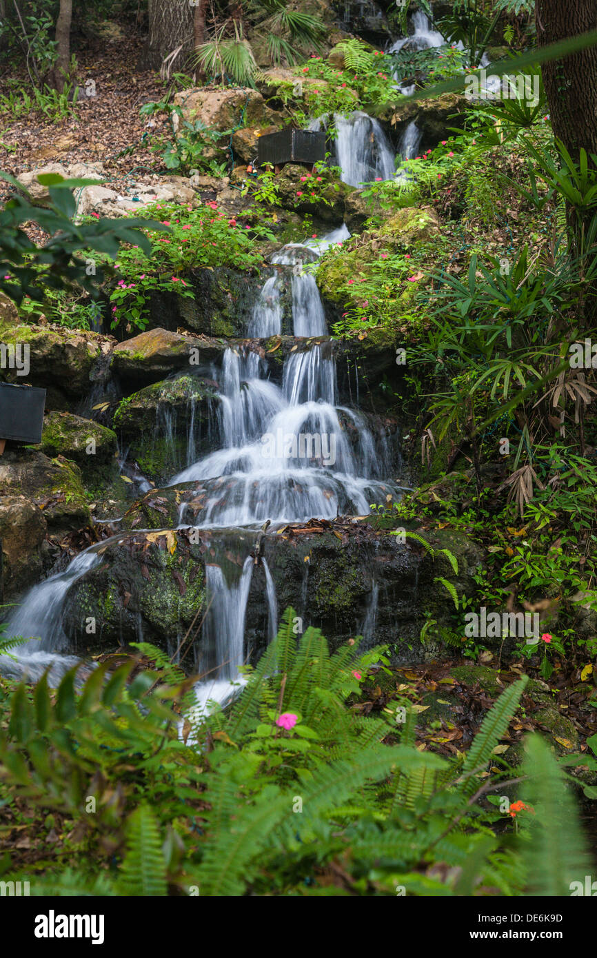 Man-made waterfall in Rainbow Springs State Park near Dunnellon, Florida Stock Photo