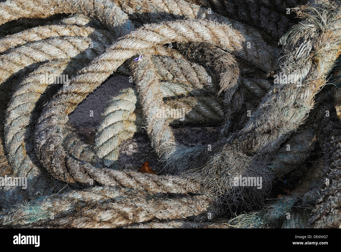 A coil of thick rope Stock Photo Alamy