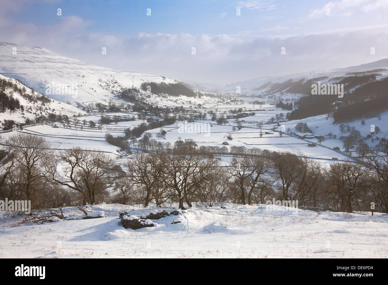 View over Wharfedale towards Buckden Pike from near Cray, Upper Wharfedale, Yorkshire Dales, UK Stock Photo