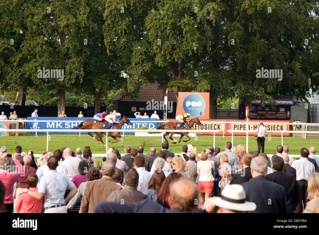First past the winning post at Newmarket races, the July racecourse, Newmarket Suffolk UK Stock Photo