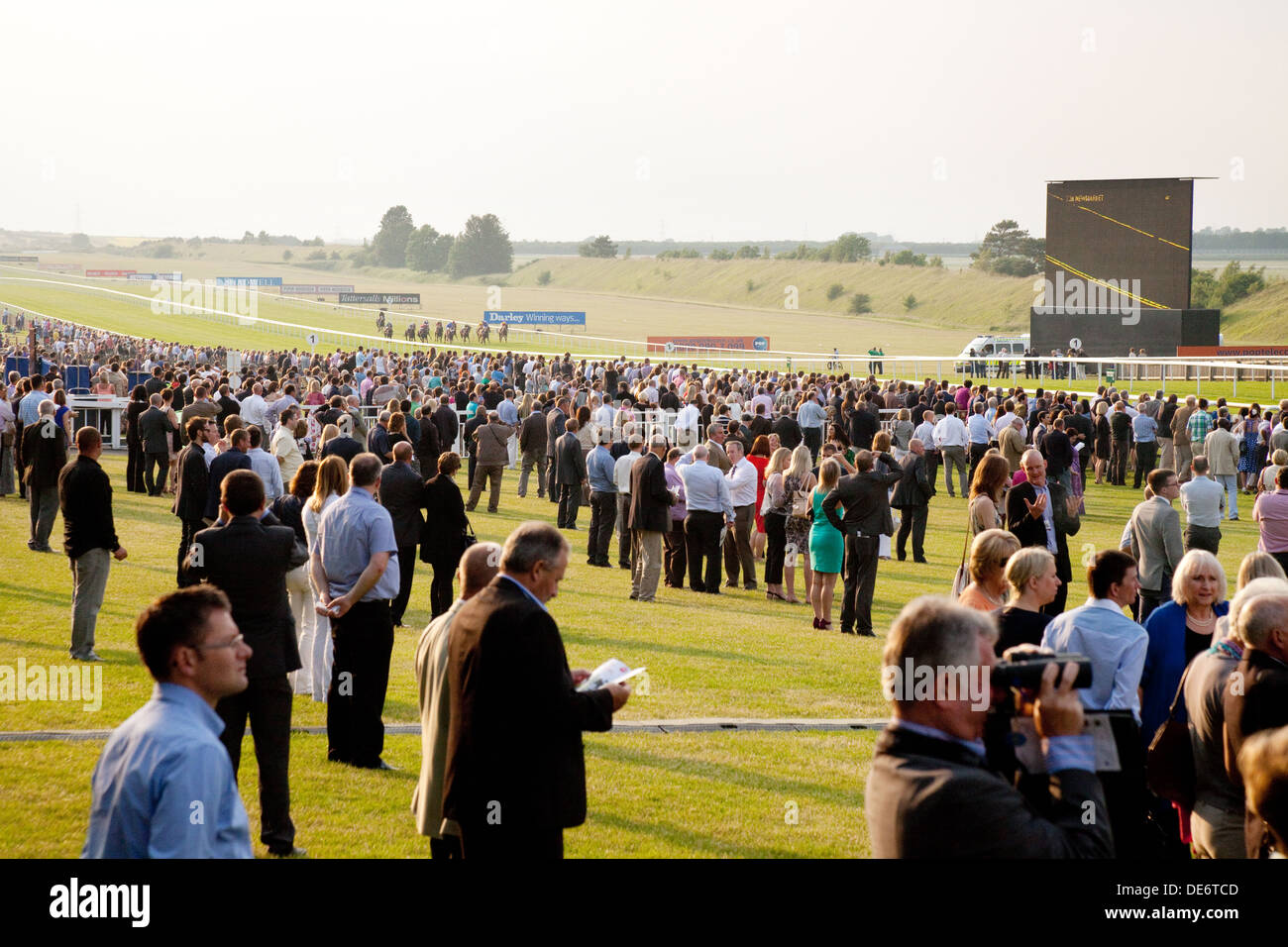 Horse racing crowd; People watching horse racing, The July Racecourse, Newmarket Suffolk UK Stock Photo