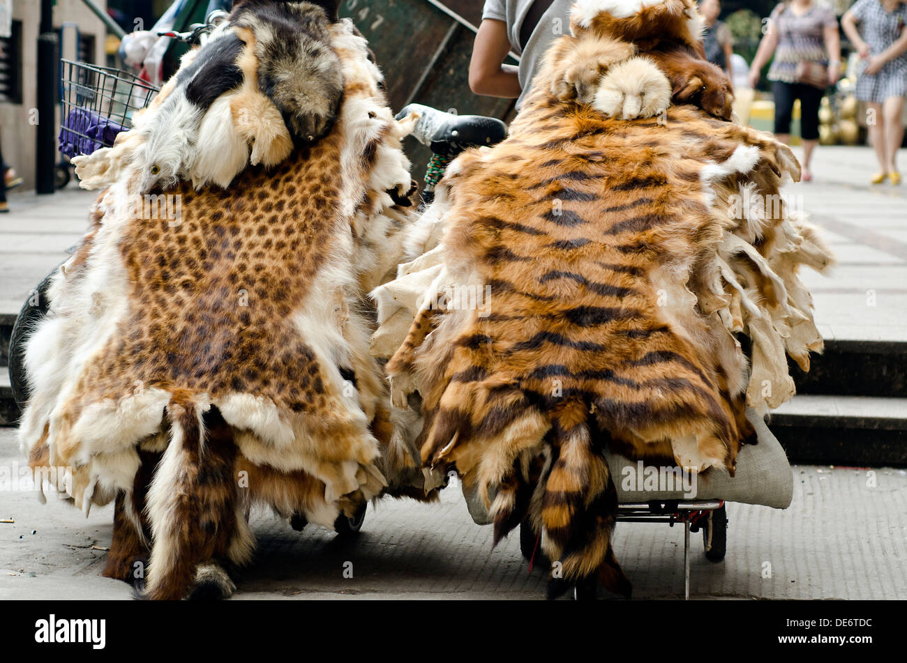 Animal fur on sale ,Guangzhou , China Stock Photo