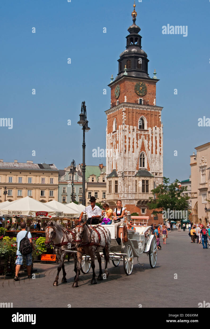 Krakow's Main Market Square with horse-drawn carriage and Town Hall Tower Stock Photo