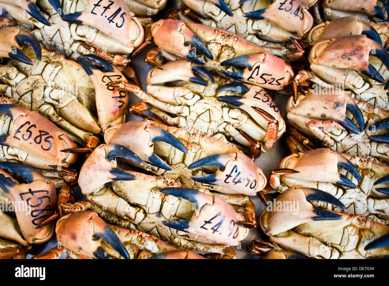 Fresh crab on sale in the English seaside town of Bridlington Stock Photo Alamy