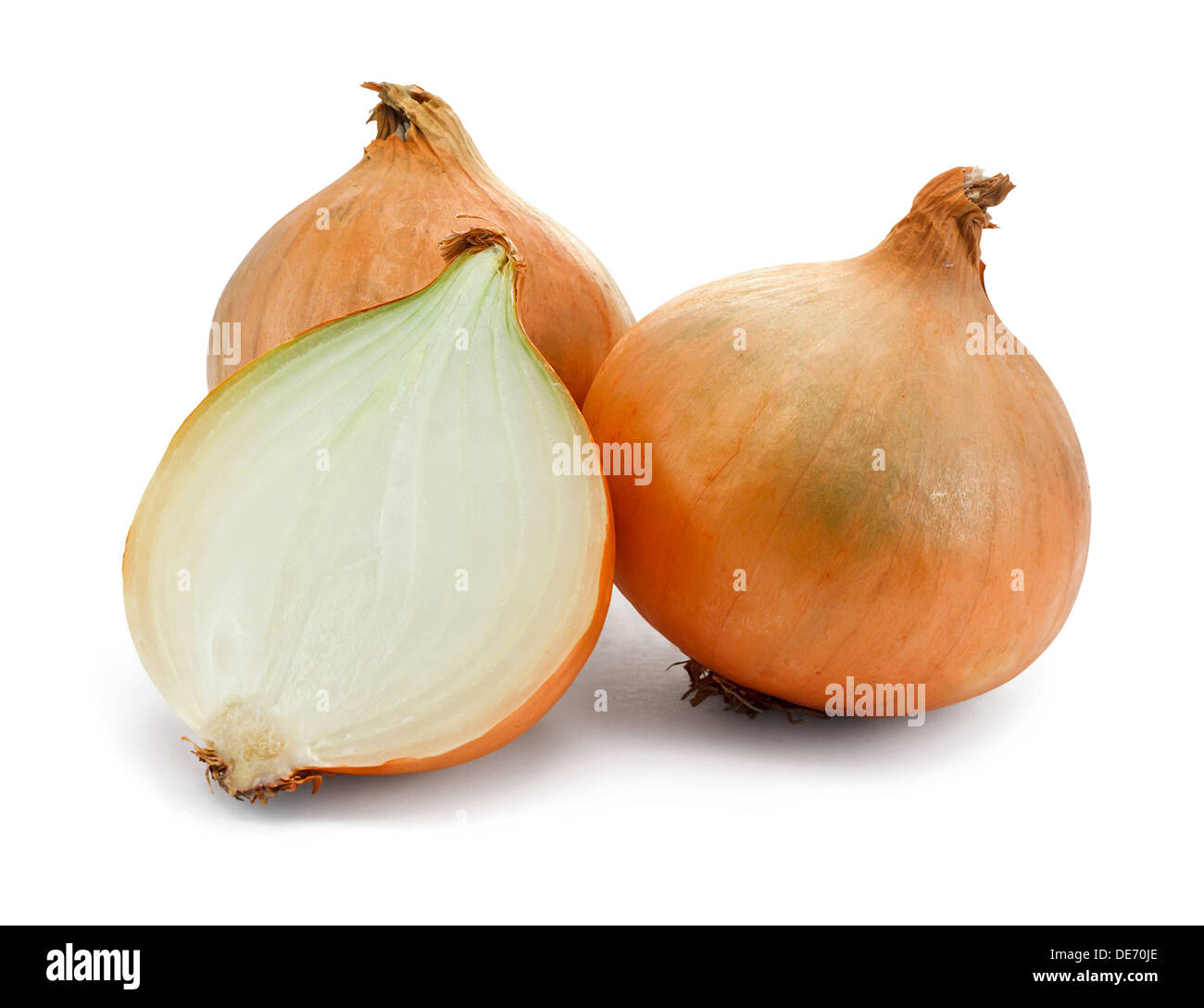 fresh onions on a white background a common vegetable Stock Photo