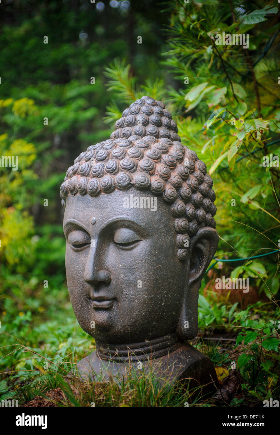 Buddha head in Canadian garden Stock Photo