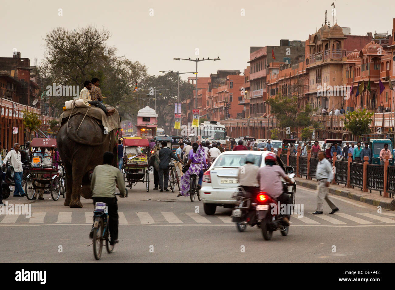 India, Rajasthan, Jaipur, elephants and traffic at rush hour dusk time Stock Photo