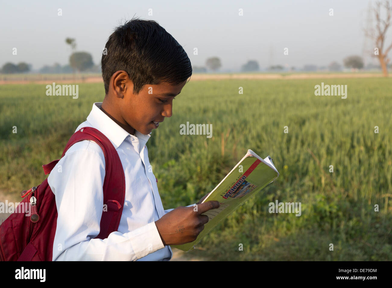 India, Uttar Pradesh, Agra, young boy in school uniform looking at text book Stock Photo
