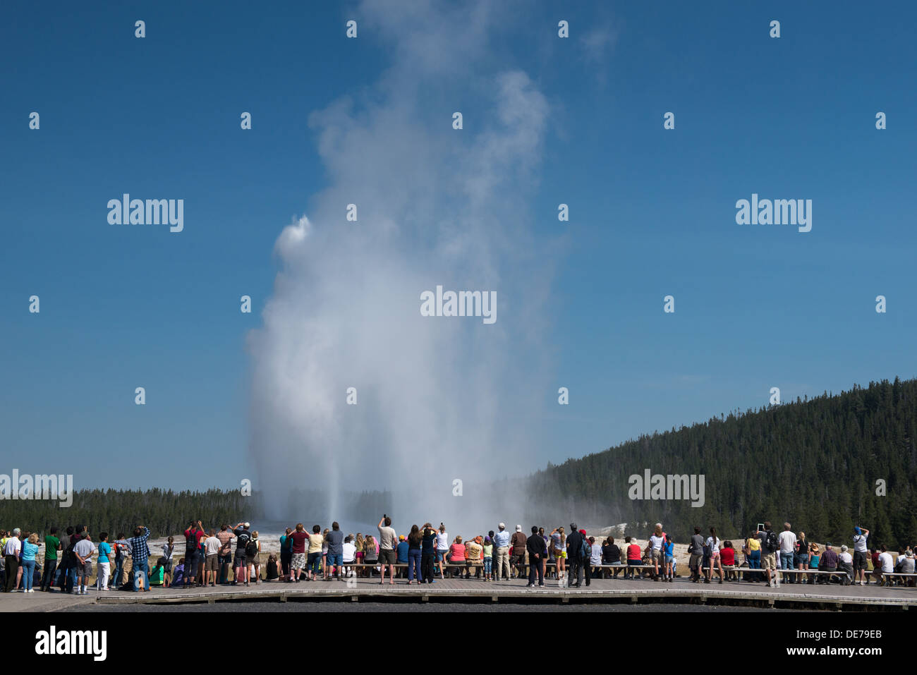 Photograph of a group of people enjoying an eruption of Yellowstone's Old Faithful Geyser. Stock Photo