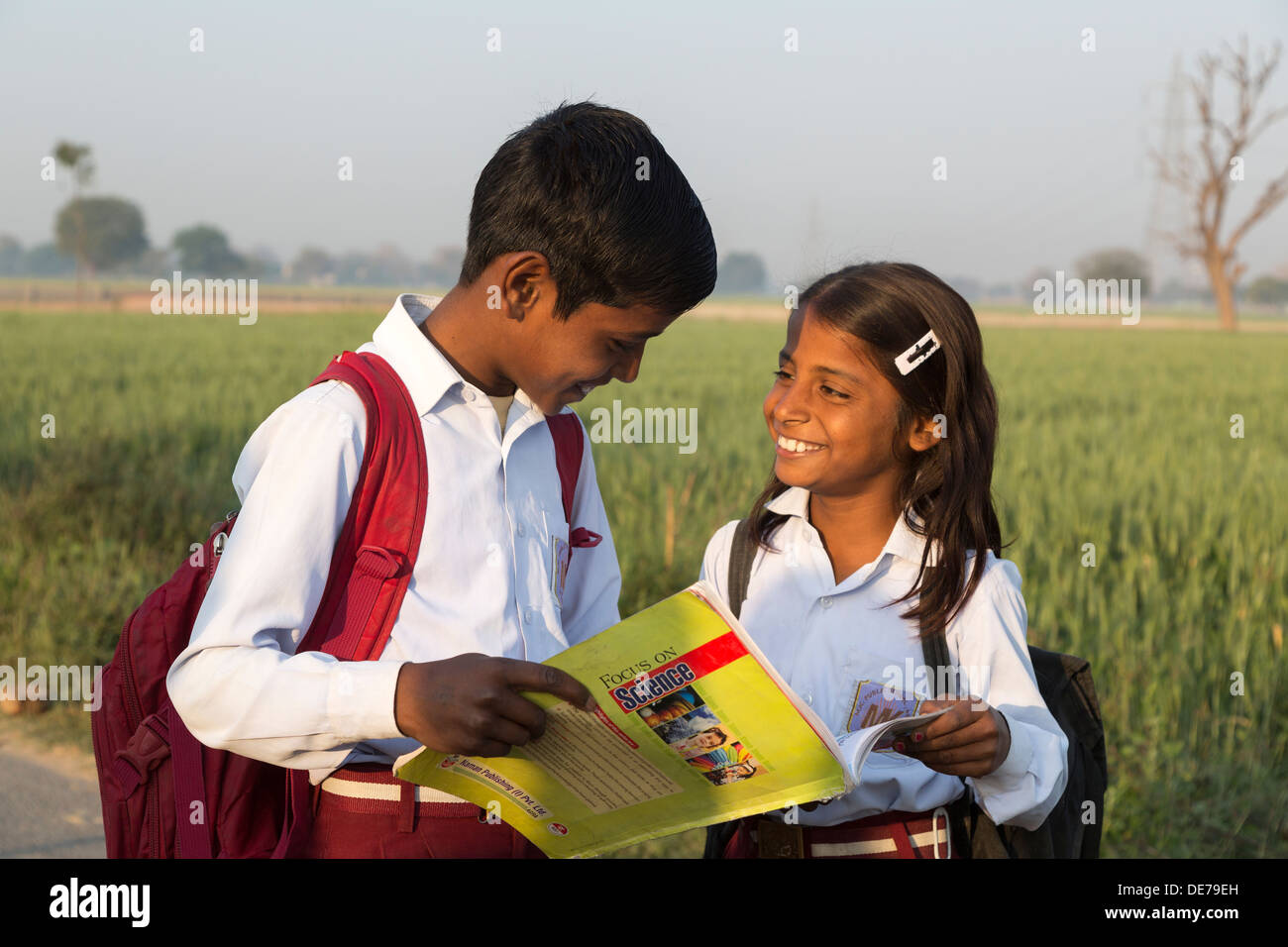 India, Uttar Pradesh, Agra, young brother & sister in school uniform looking at text books Stock Photo