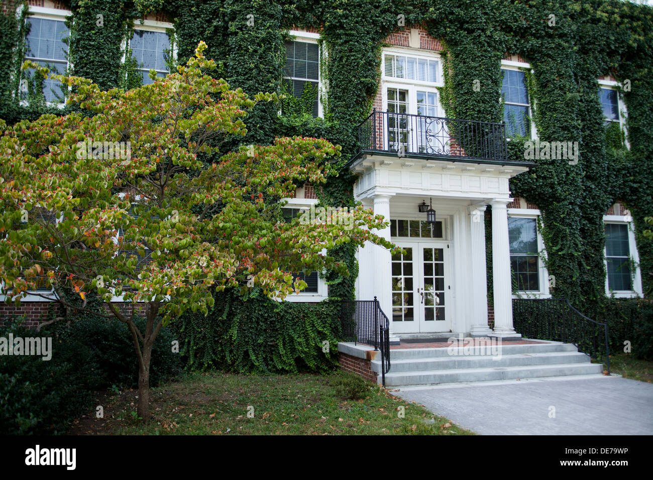 House exterior covered in vine - USA Stock Photo