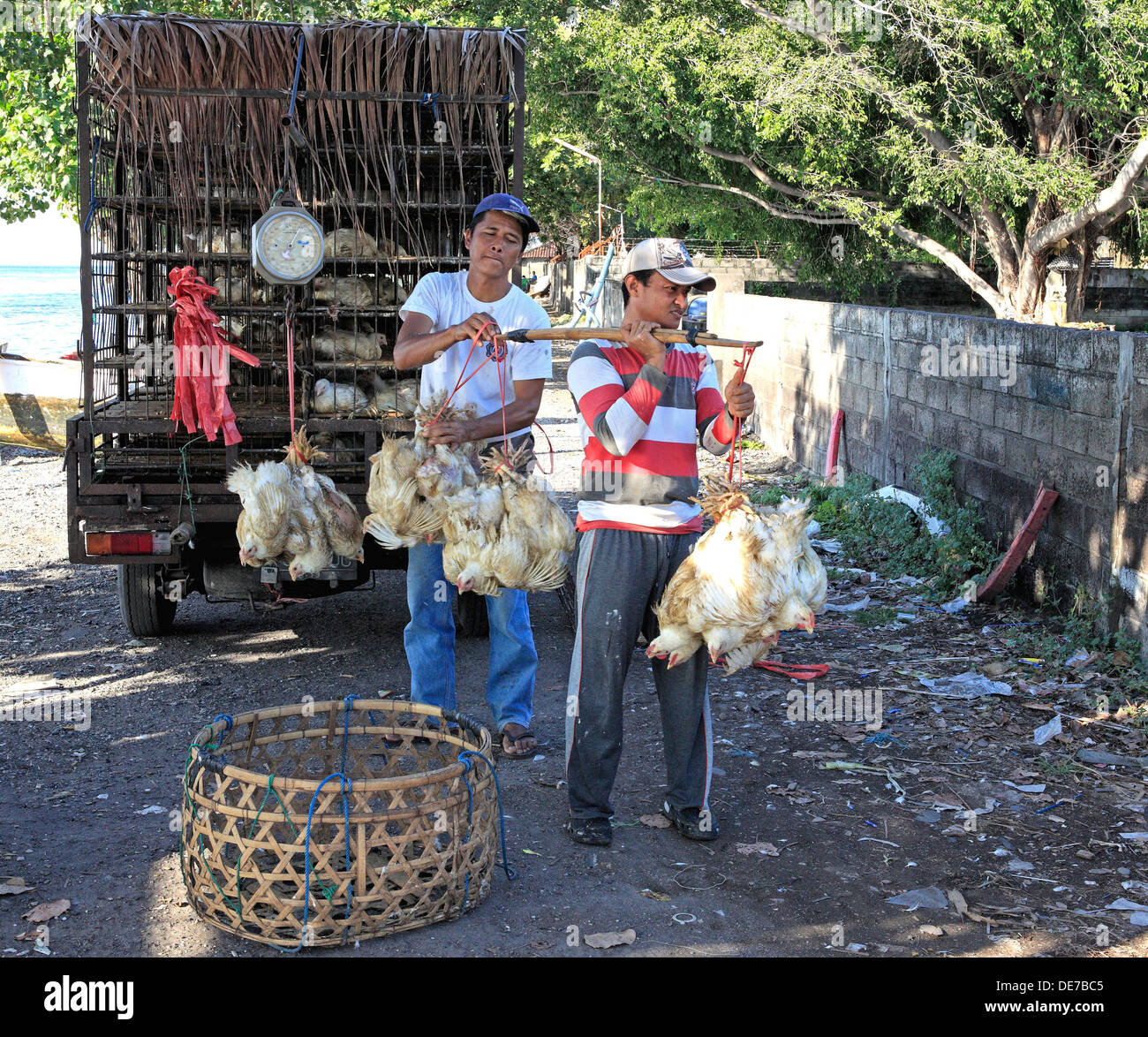Man selling live chickens hires stock photography and images Alamy