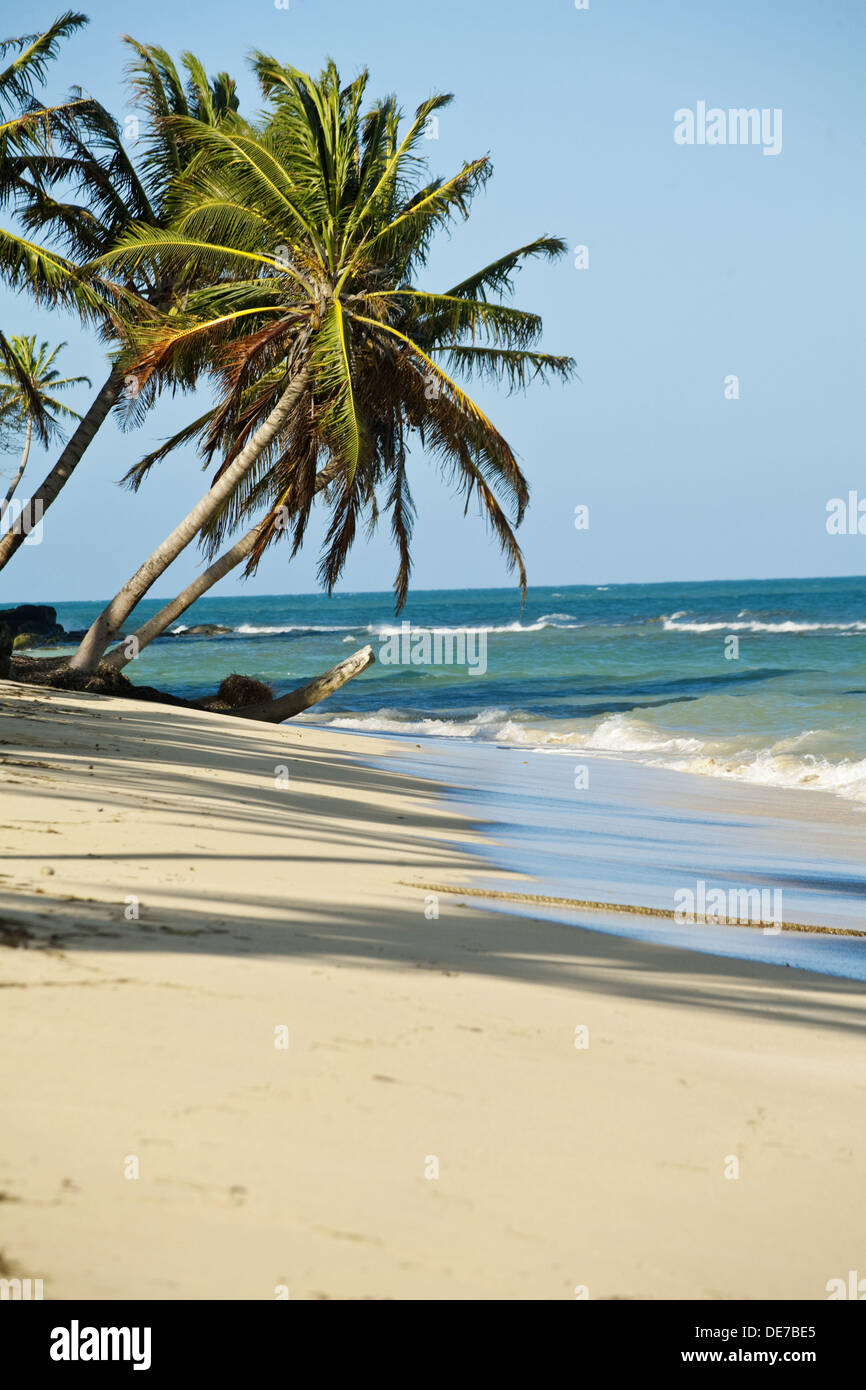 Little Corn Island, Corn Islands, Nicaragua Stock Photo Alamy