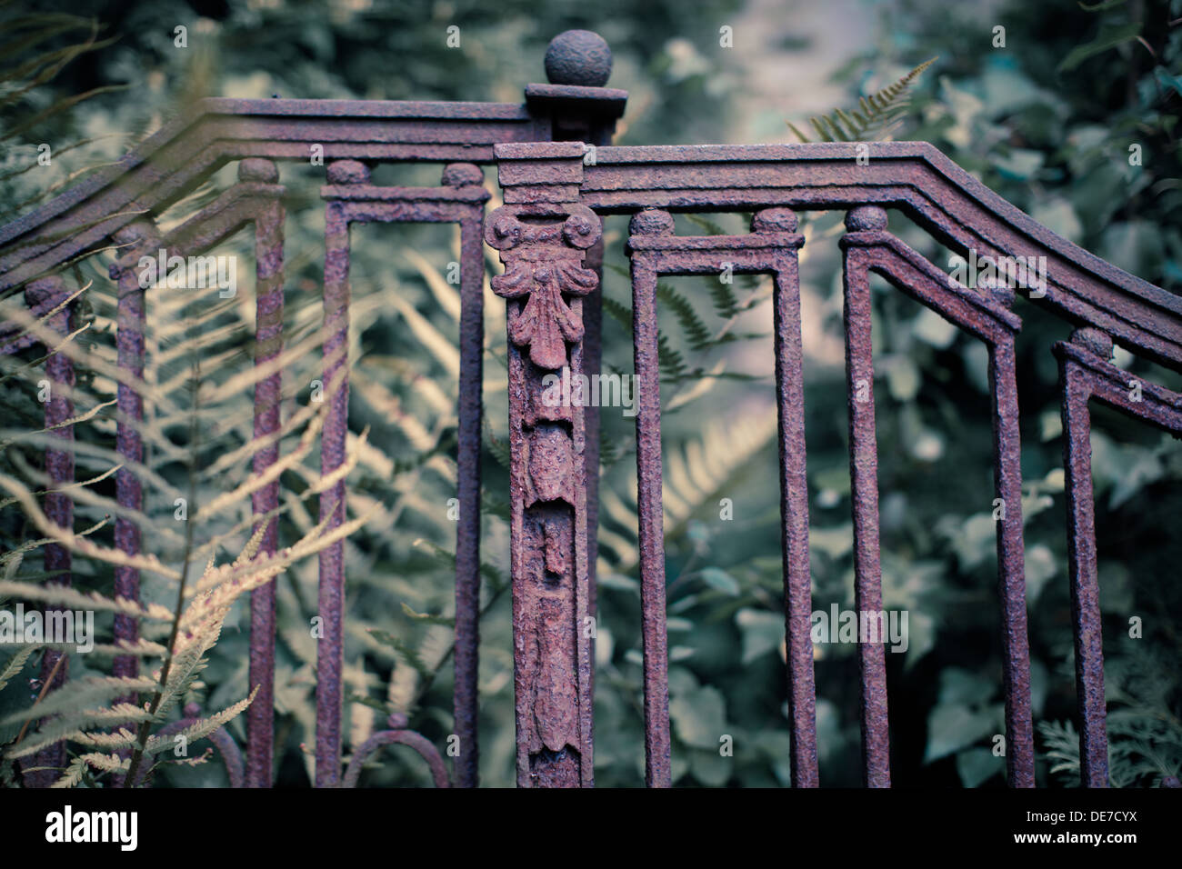 Old metal fence Stock Photo