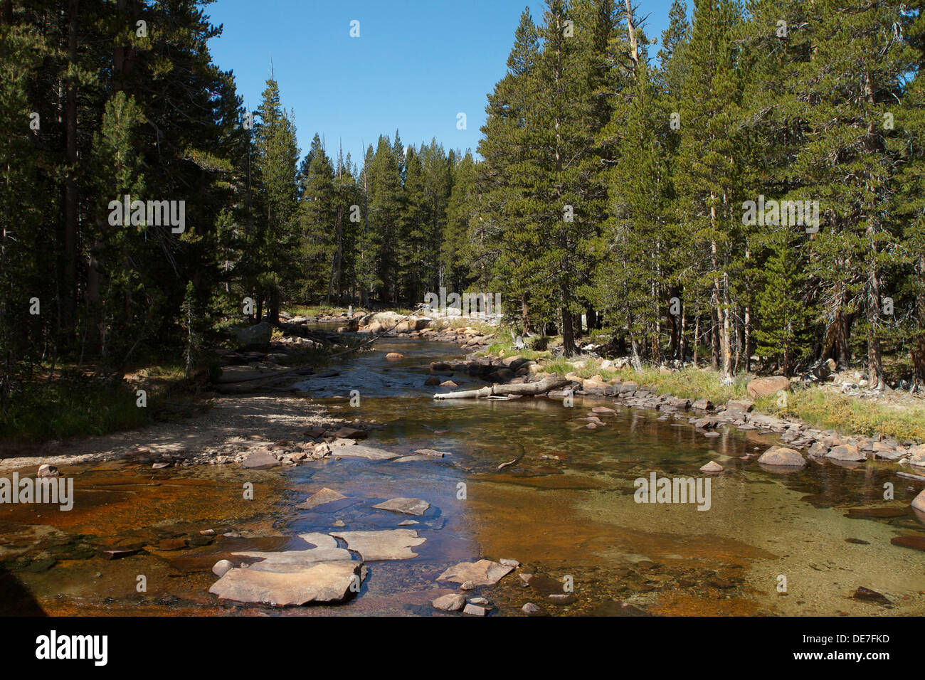 The Tuolumne river flowing through Tuolumne Meadows in Yosemite