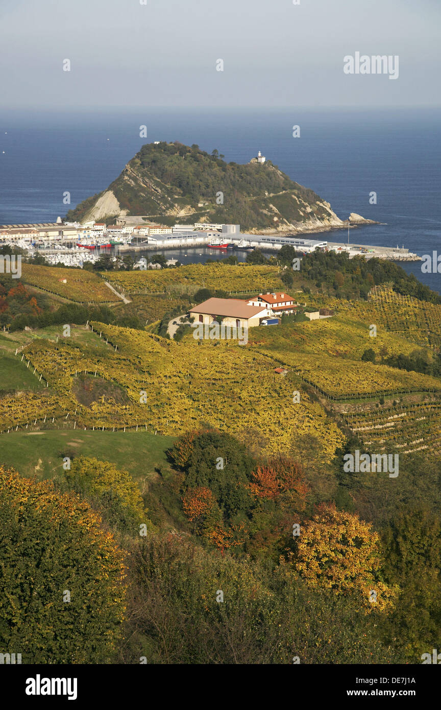 ´Txakoli´ vineyards, Guetaria (Getaria), Guipuzcoa (Gipuzkoa), Basque Country, Spain Stock Photo