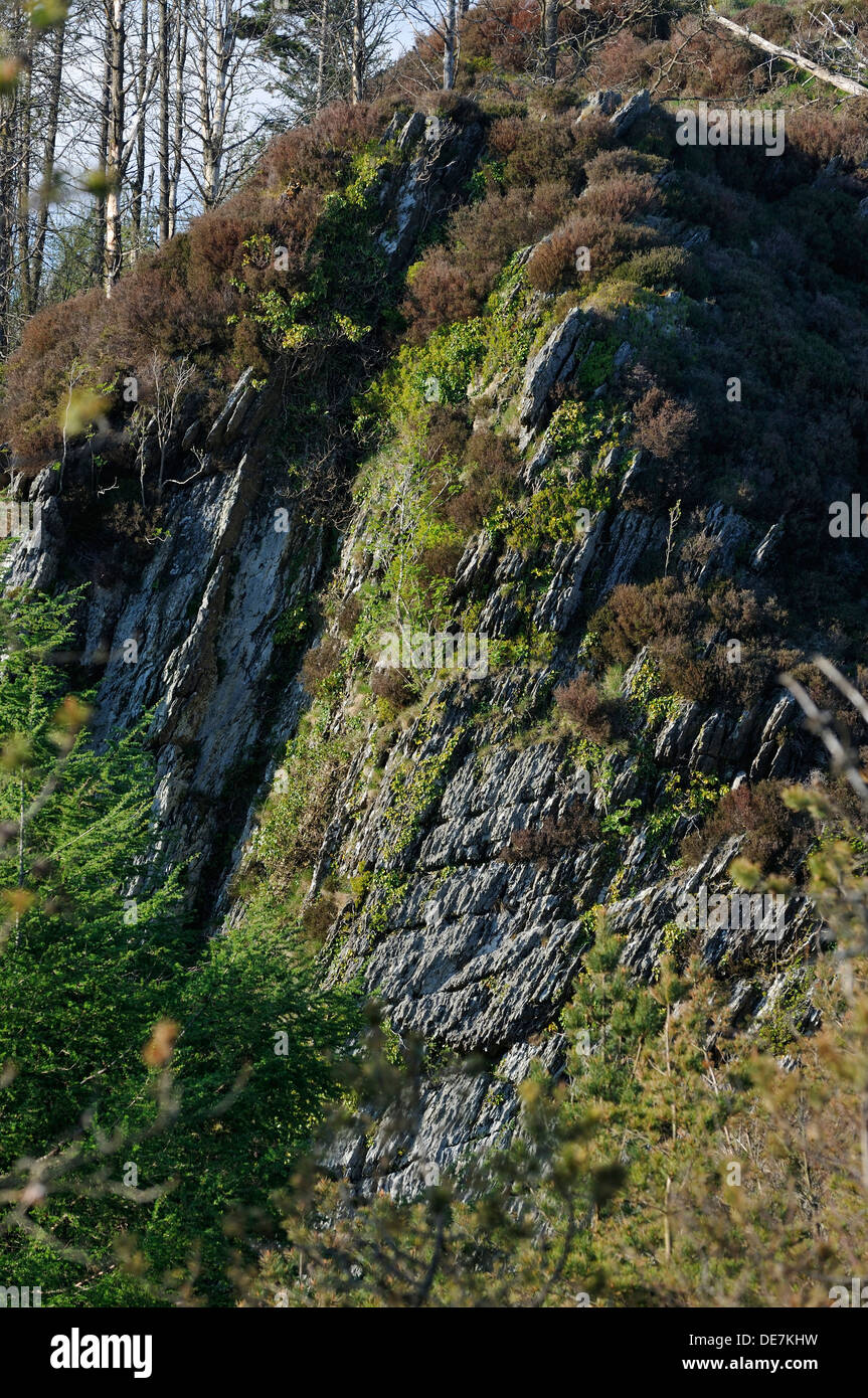 Exposed Rock Formations at Llyn Brianne Viewpoint ref SN811501 Stock ...