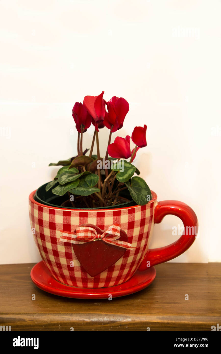 A red and white flower pot with red flowers against white background Stock Photo