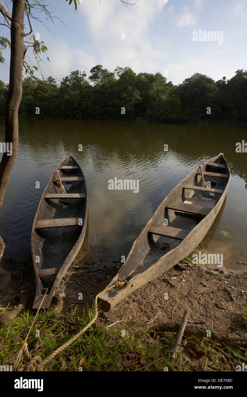 dug out canoes on an oxbow lake off the Rewa River, Rupununi, Guyana, South America Stock Photo