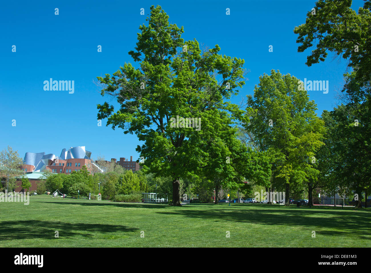 UNIVERSITY CIRCLE CASE WESTERN RESERVE CAMPUS UNIVERSITY CIRCLE CLEVELAND OHIO USA Stock Photo