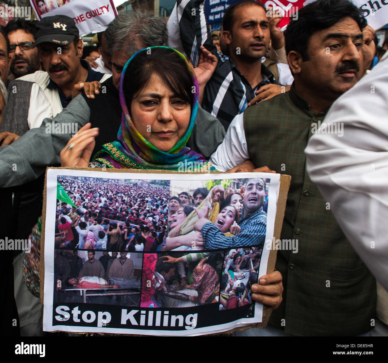 Srinagar, Indian Administered Kashmir13th September2013.  Kashmir's main opposition party, People's Democratic Party (PDP) president, Mehbooba Mufti holds a placard displaying killed and injured civilians during a protest demonstration against killings in mountainous district of Shopian. . (Sofi Suhail/ Alamy Live News) Stock Photo