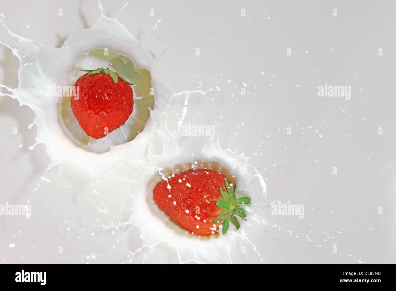 Milk splashing by strawberry, Japan, Fukushima Stock Photo Alamy