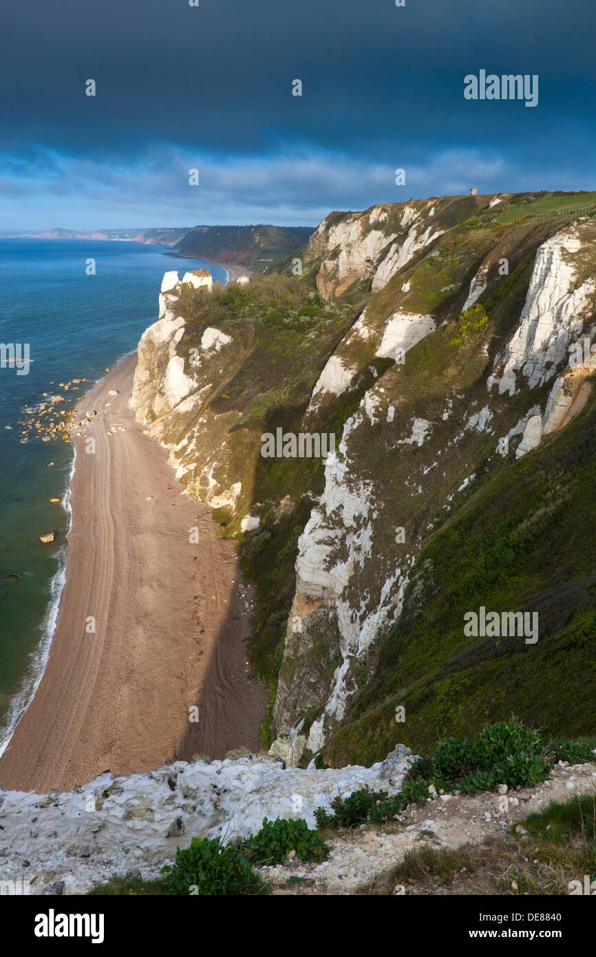 Hooken Cliff, Beer Head, from coastal path , Jurassic Coast World