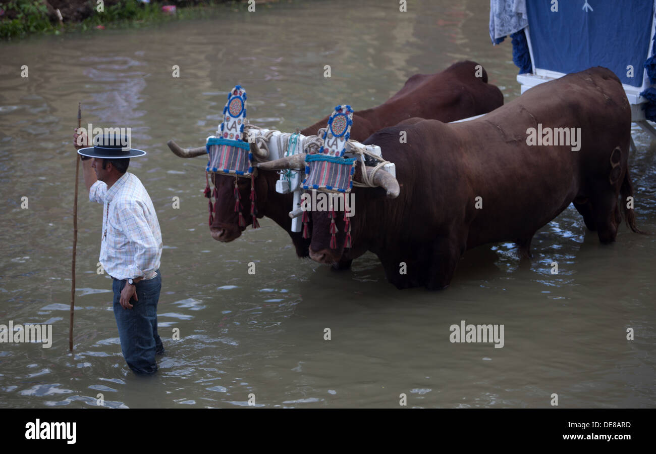 An oxherd guides an oxcart in the Guadiamar's river ford, known as Vado del Quema, during the pilgrimage of the Virgin of Rocio Stock Photo