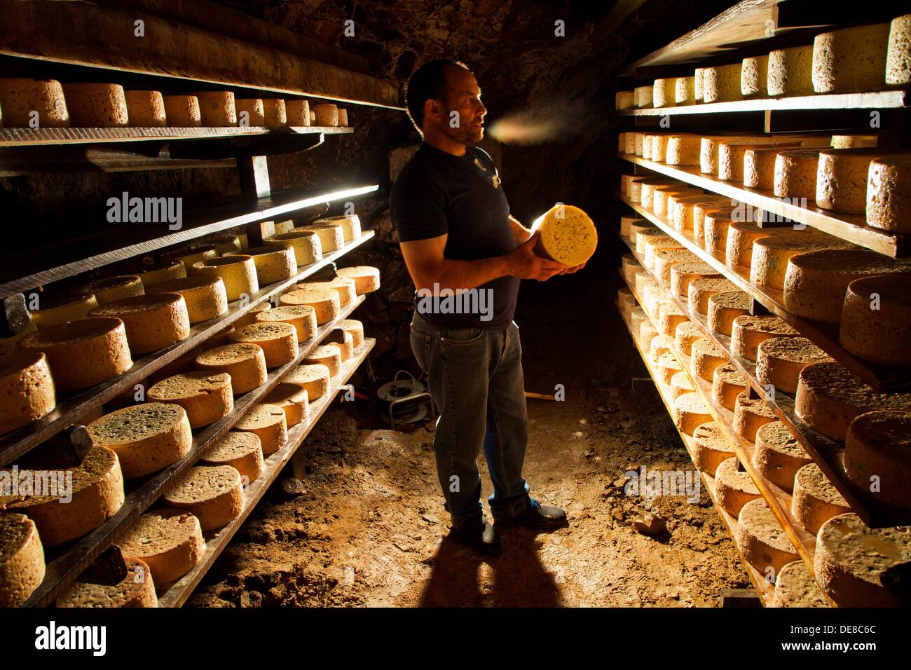 Cabrales Cheese Cave. Cheese fermentation of Bada family. Tielve