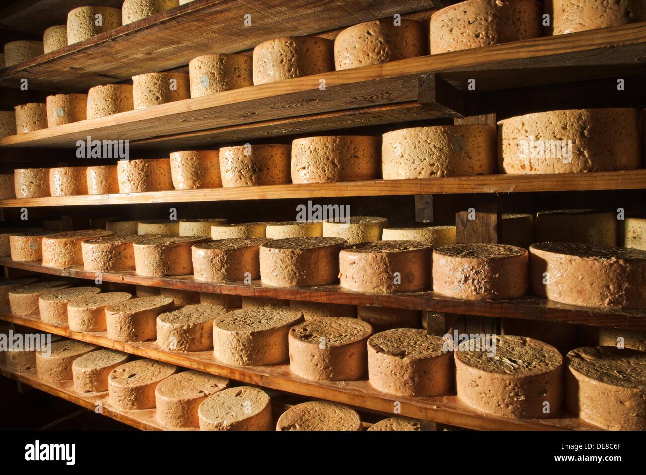 Cabrales Cheese Cave. Cheese fermentation of Bada family. Tielve
