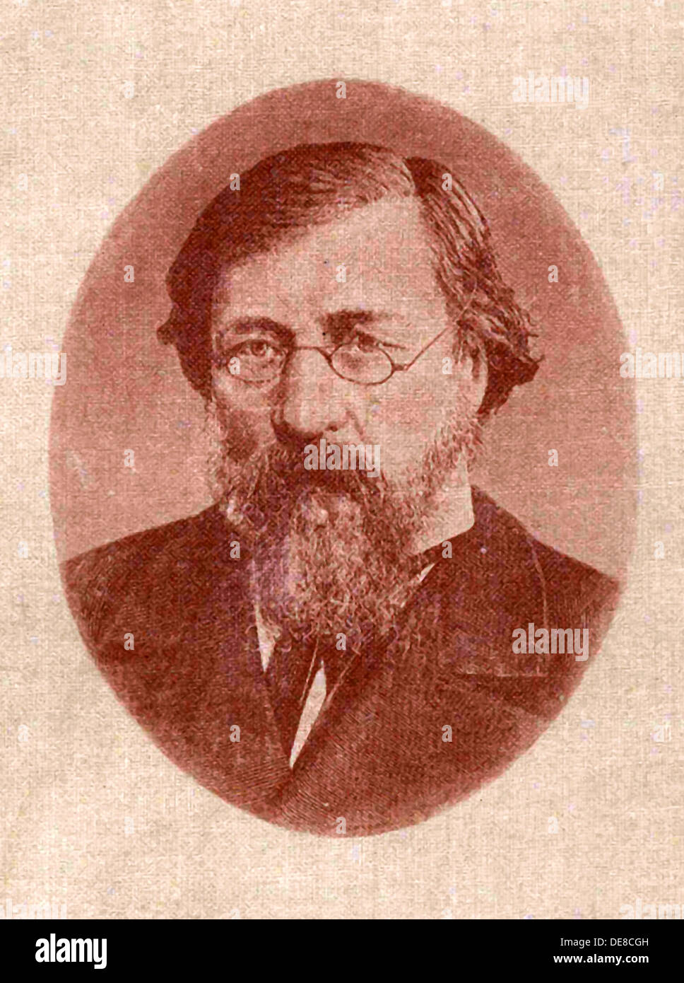 Nikolay Gavrilovich Chernyshevsky (1828–1889). Stock Photo