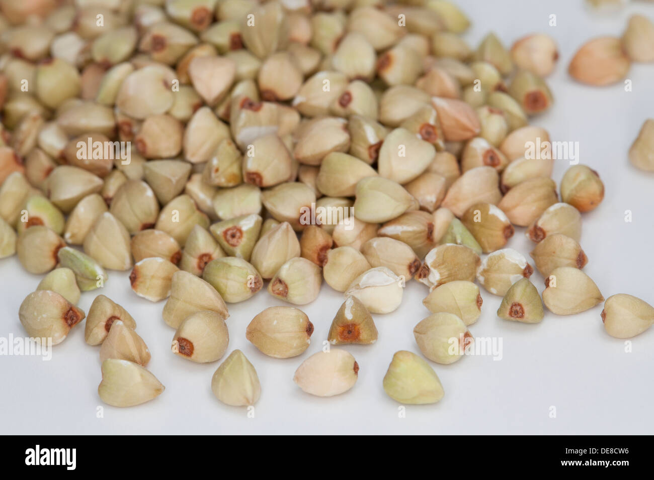 Buckwheat, Echter Buchweizen, Gemeiner Buchweizen, Körner, Korn, Fagopyrum esculentum Stock Photo