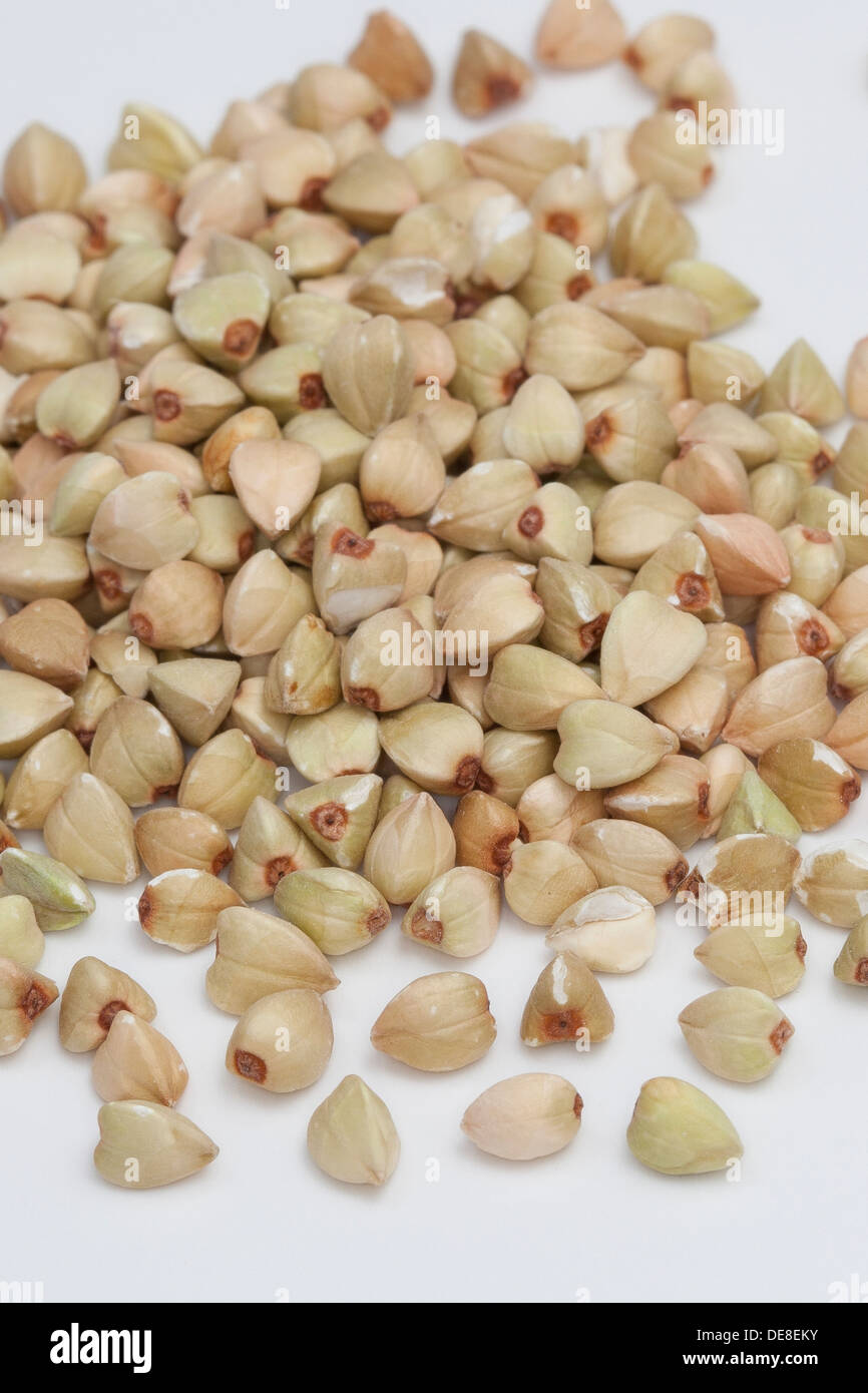 Buckwheat, Echter Buchweizen, Gemeiner Buchweizen, Körner, Korn, Fagopyrum esculentum Stock Photo
