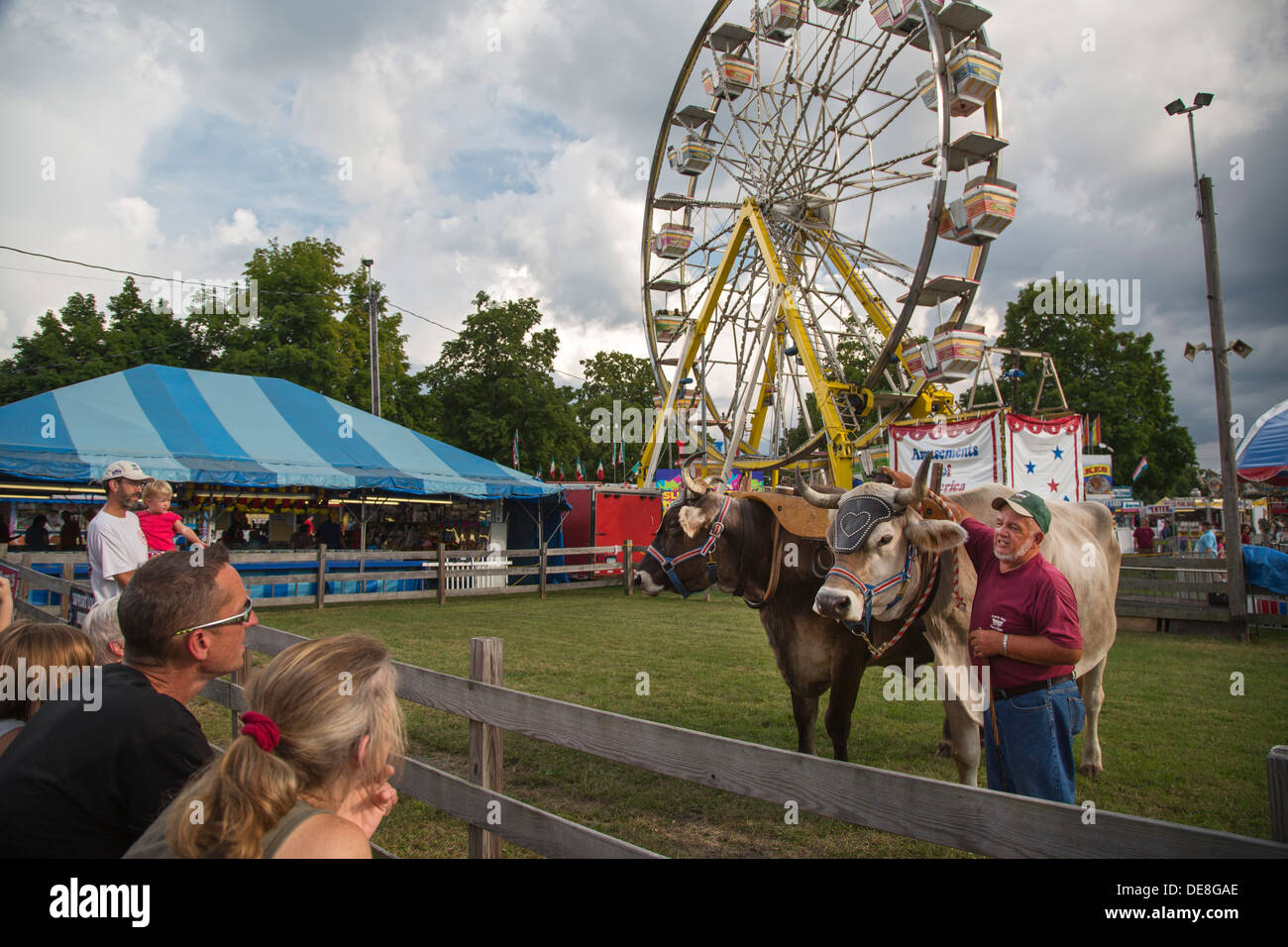 Chatham, New York Ralph Hartzell demonstrates his oxen to visitors at
