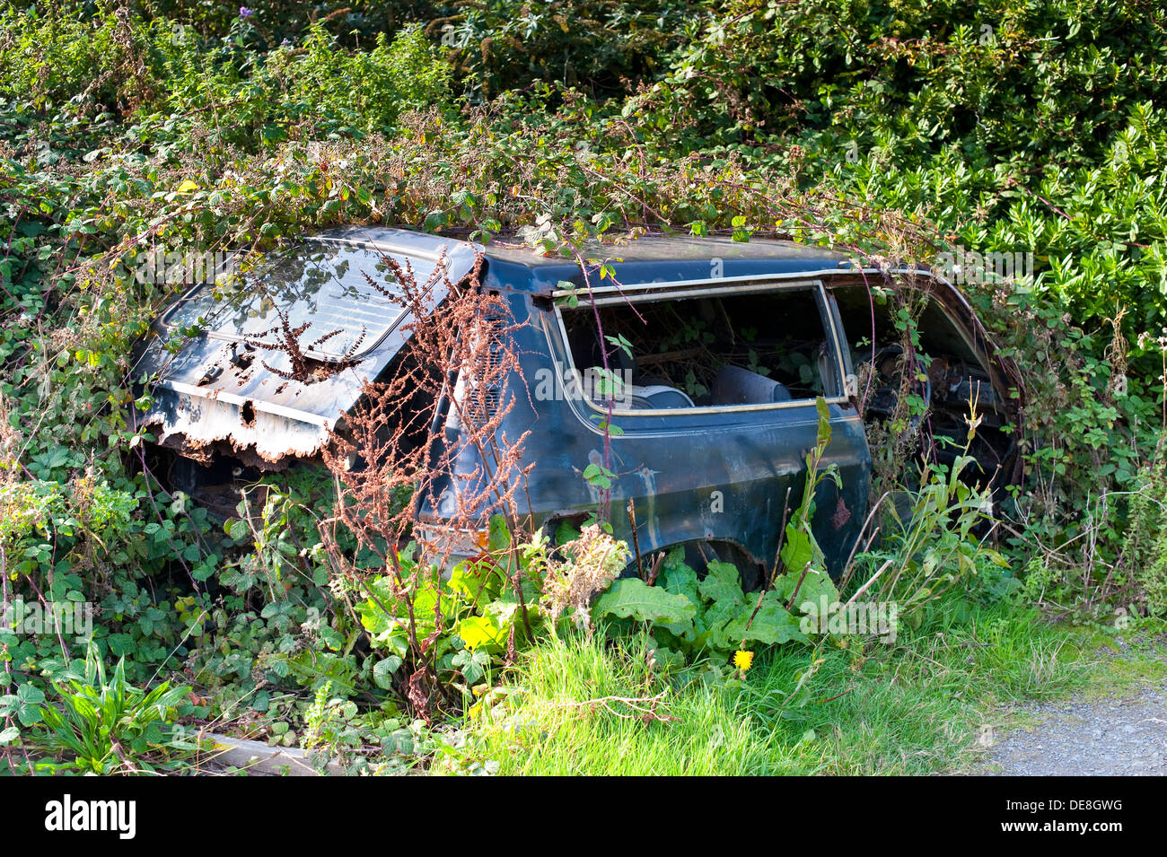 Austin car abandoned hi-res stock photography and images - Alamy