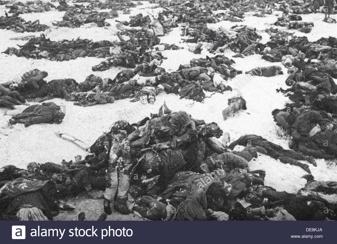 How many people died in stalingrad from the USSR How many people died in stalingrad from the USSR